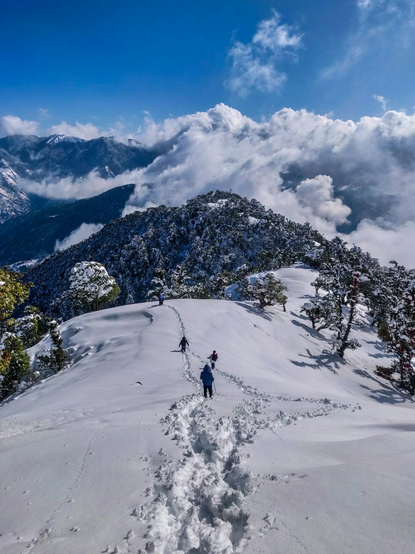 Scenic Manali & Shimla Hill Station Escape